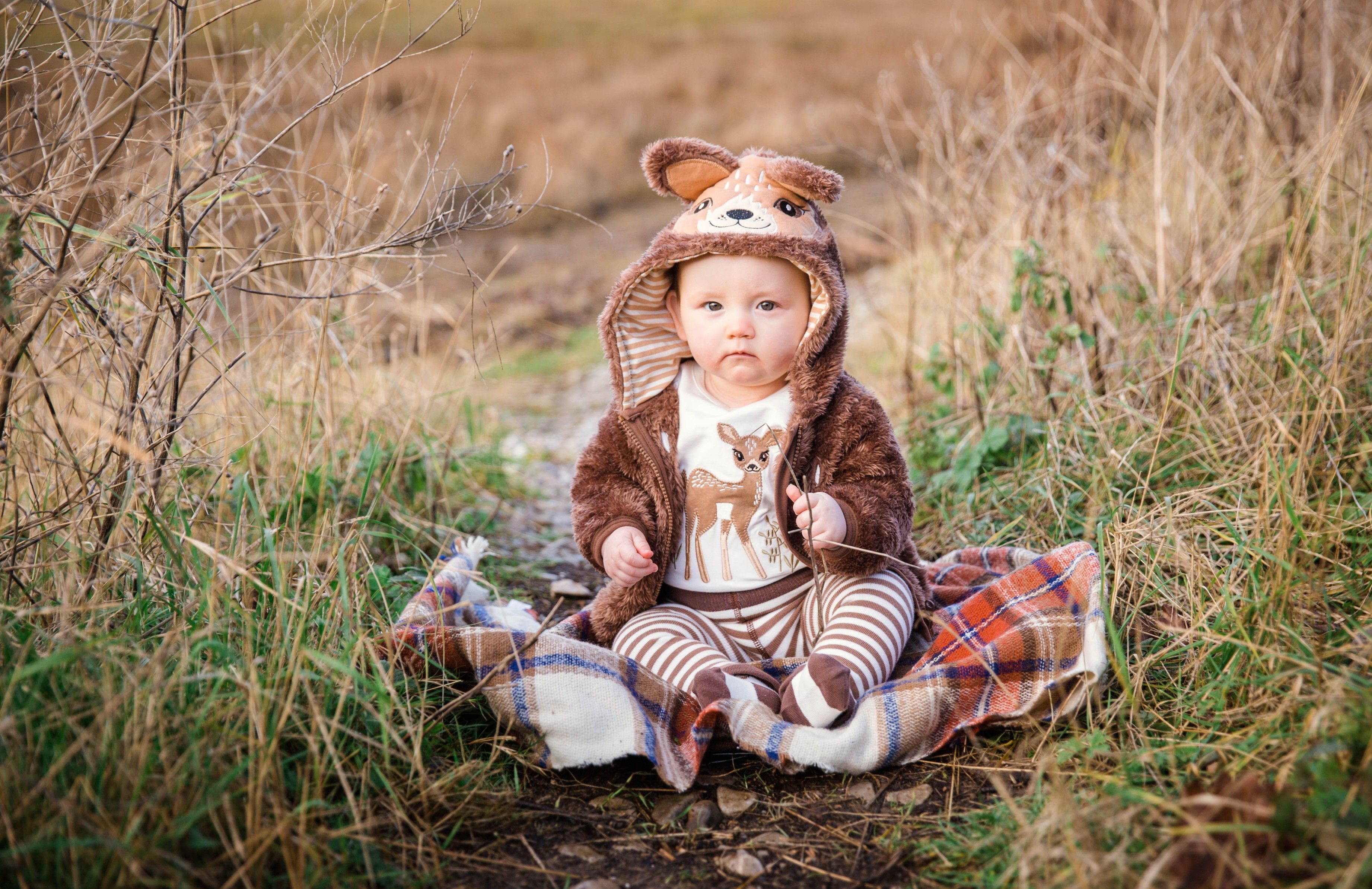 Fifi The Fawn Collection